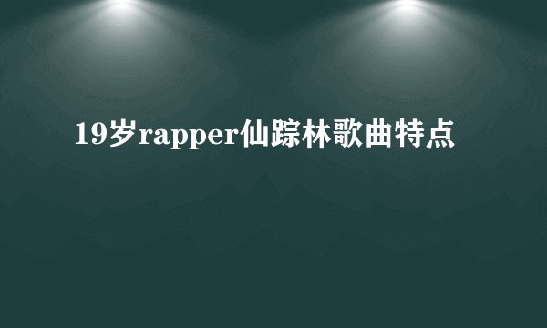 19岁rapper仙踪林歌曲特点