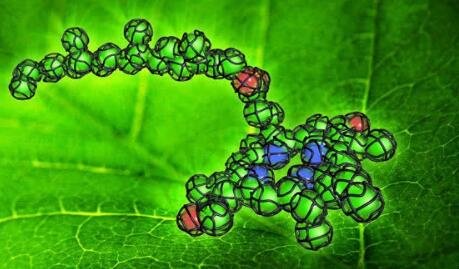 光反应和暗反应的区别