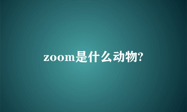 zoom是什么动物?