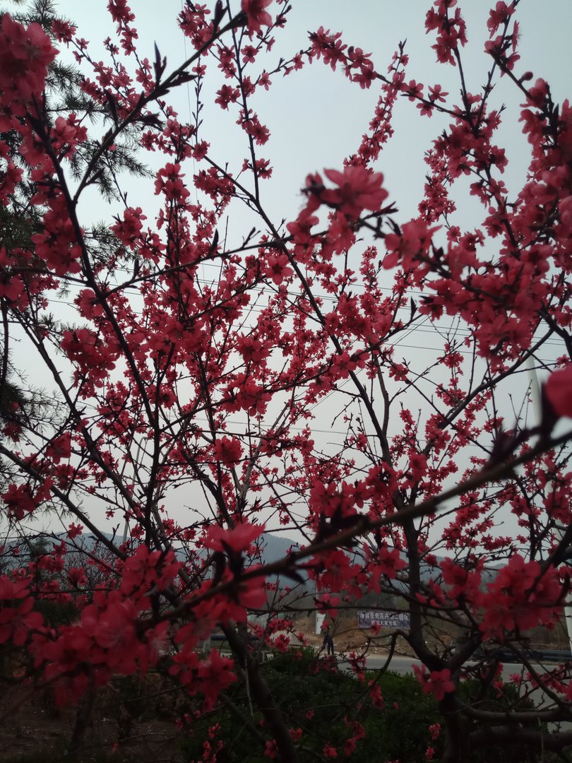 愁苦孤苦悲苦的区别？