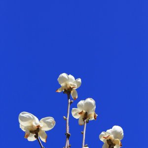 贺贵元的主要经历