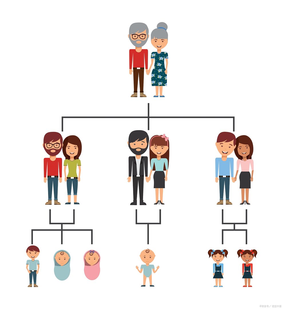 直系亲属包括哪些