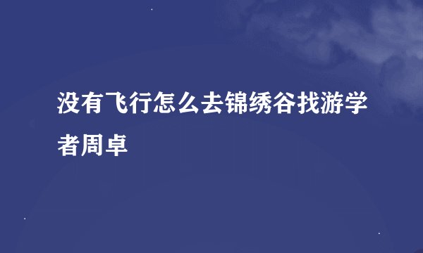 没有飞行怎么去锦绣谷找游学者周卓