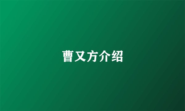 曹又方介绍