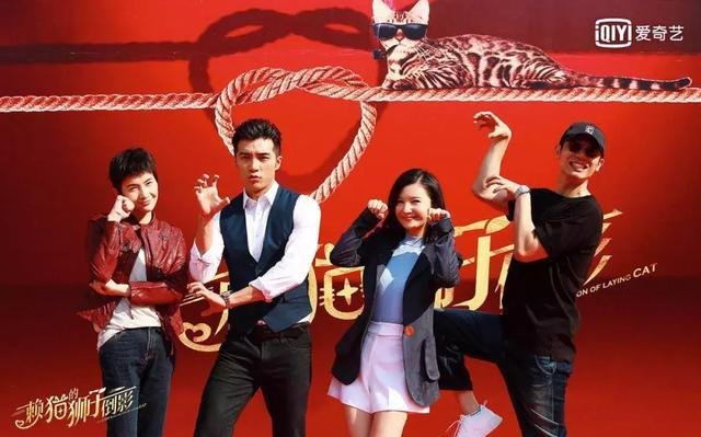 电视剧《赖猫的狮子倒影》开播，如何评价这部剧？