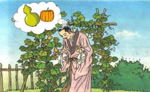 我要的是葫芦说明什么道理?