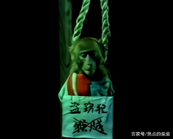 80后的童年记忆和阴影，《动物王国窃案》，是世界首创动物电视剧吗？