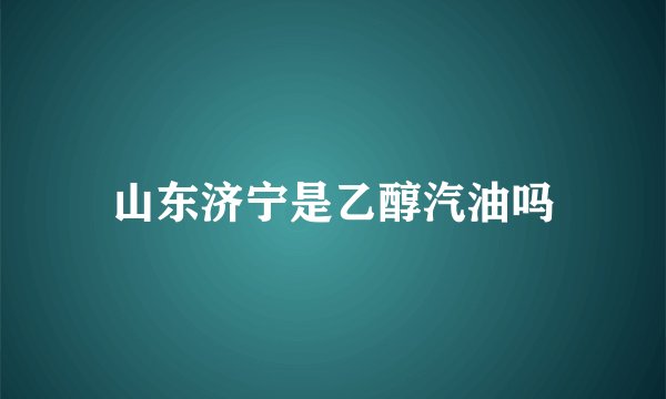 山东济宁是乙醇汽油吗