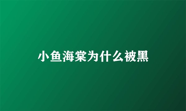 小鱼海棠为什么被黑