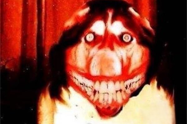 微笑狗事件原图太吓人 一张照片造成生命的死亡