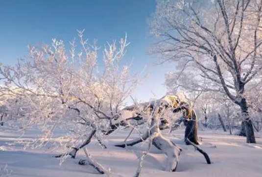 今年是暖冬还是冷冬