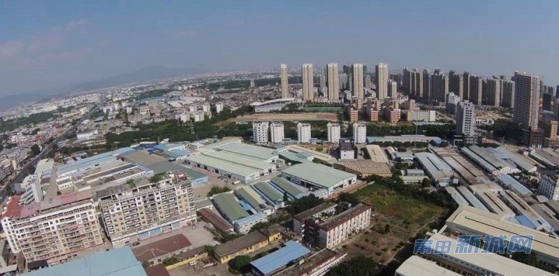 莆田新城网的特色