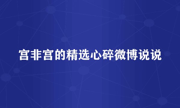 宫非宫的精选心碎微博说说