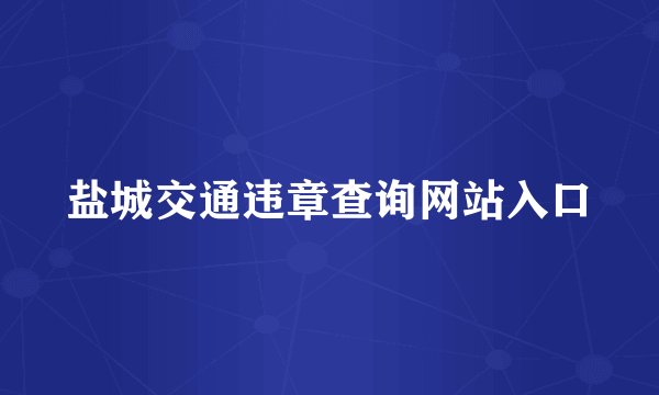 盐城交通违章查询网站入口