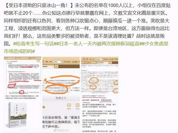 中国有哪些令人讨厌的所谓公知？