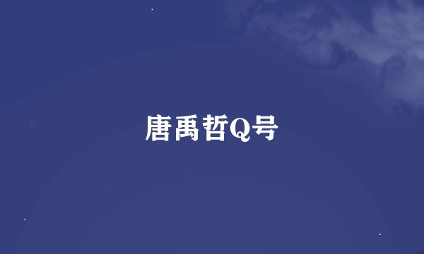唐禹哲Q号