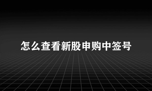 怎么查看新股申购中签号