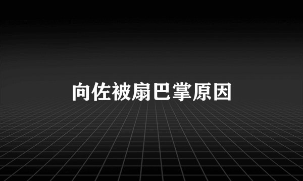 向佐被扇巴掌原因