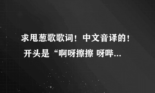 求甩葱歌歌词！中文音译的！ 开头是“啊呀擦擦 呀哔哔拉哔哔”的不要哦