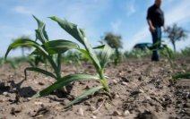 科学家警告欧洲或遭遇五百年来最严重干旱，将给各地人们生活带来哪些影响？