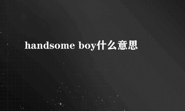 handsome boy什么意思