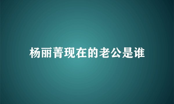 杨丽菁现在的老公是谁