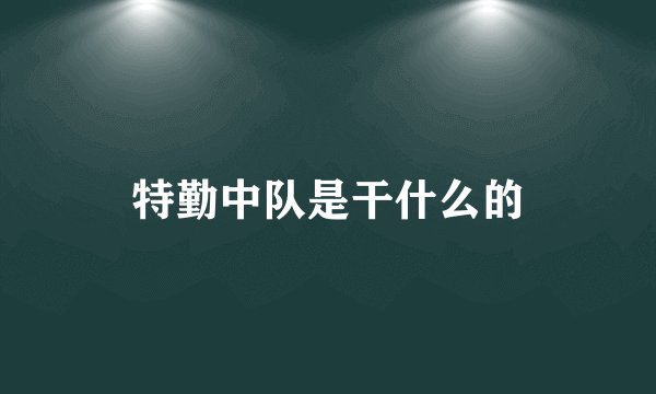 特勤中队是干什么的