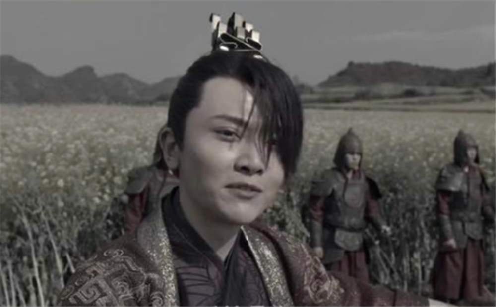 李云睿长公主为什么选择二皇子庆余年?