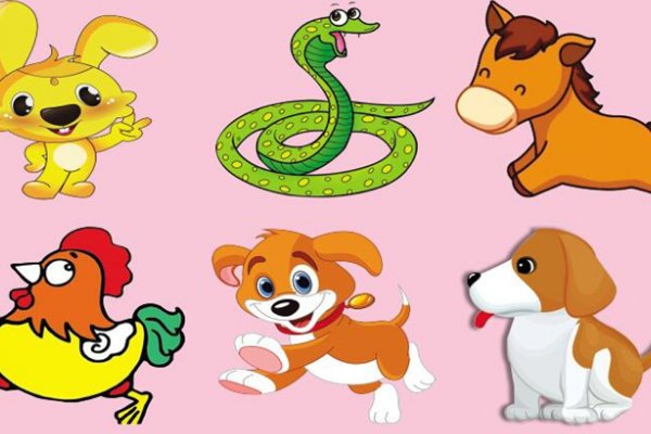 中途而废打什么生肖