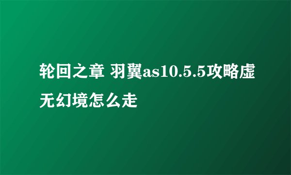 轮回之章 羽翼as10.5.5攻略虚无幻境怎么走