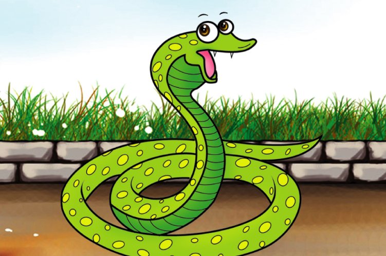 年老色衰打一正确动物