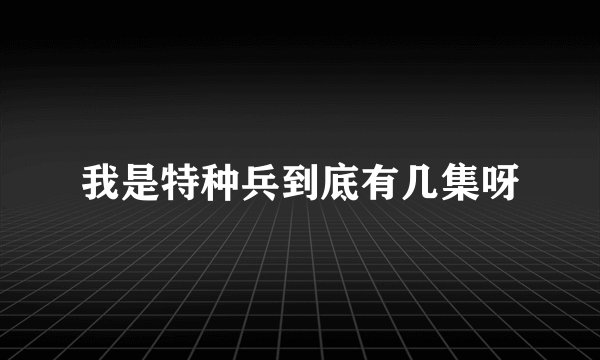 我是特种兵到底有几集呀