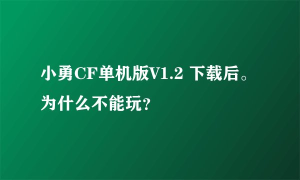 小勇CF单机版V1.2 下载后。为什么不能玩？