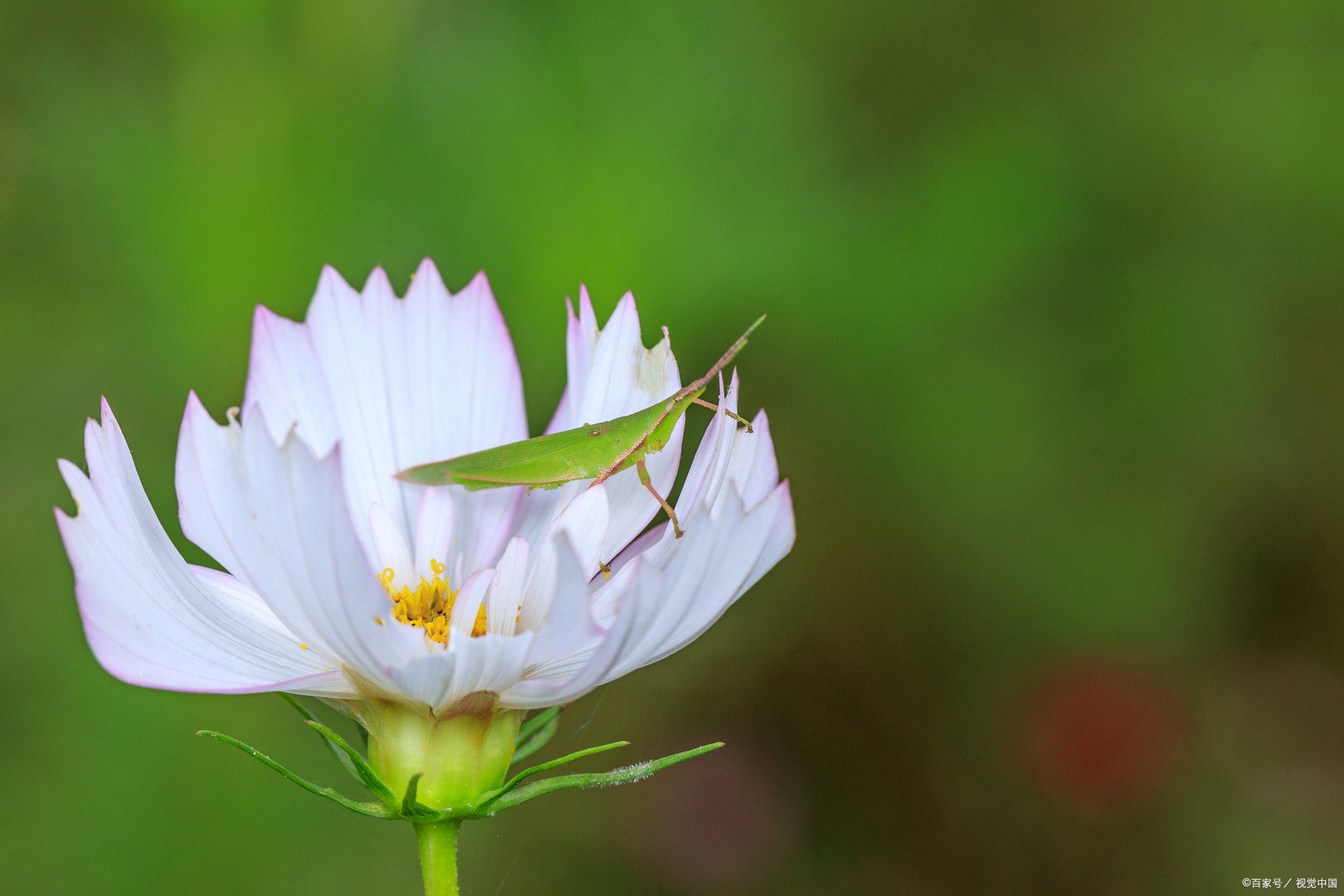 我们的婚姻分集剧情介绍
