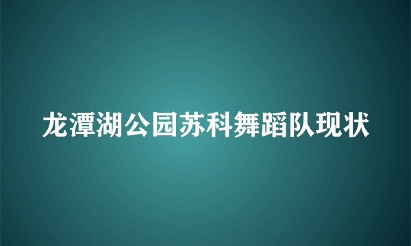 龙潭湖公园苏科舞蹈队现状