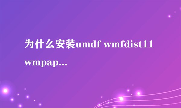 为什么安装umdf wmfdist11 wmpappcompat 的时候显示存储空间不足，无法处理？