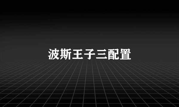 波斯王子三配置