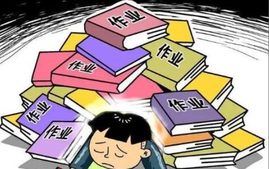 作业害死多少学生