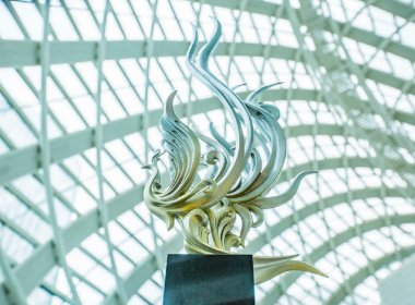 凤凰卫视好几个精典频道禁播，是什么原因导致的？