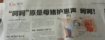 呵呵是母猪护幼崽的声音 求图求真相