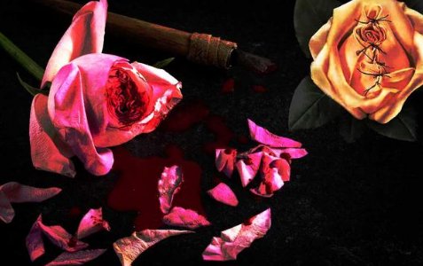 sabina是什么意思