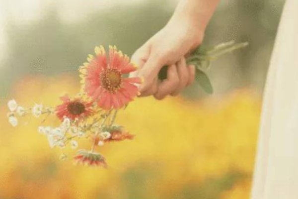 白富美是什么意思？