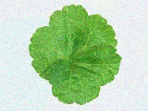 为什么别人的老婆，比自己的好玩？