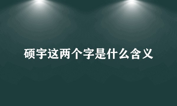 硕宇这两个字是什么含义