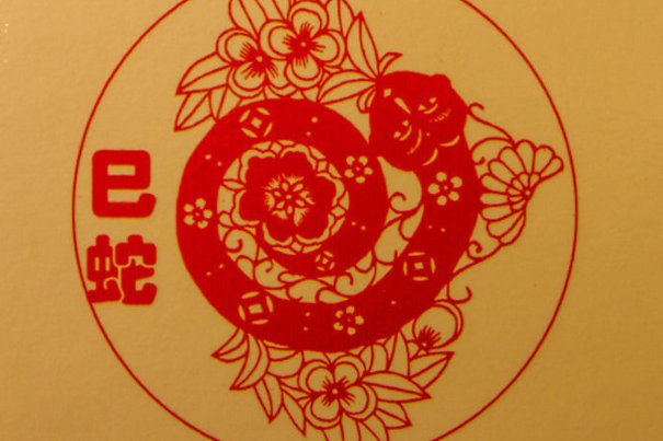 殊途同归打一准确生肖