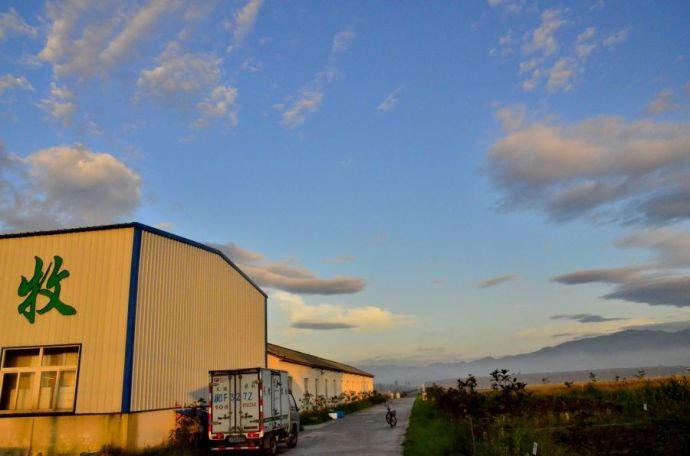 宁波有哪些有机蔬菜基地，可以宅配吗？