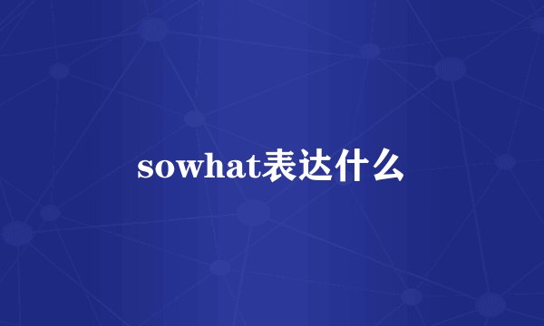 sowhat表达什么