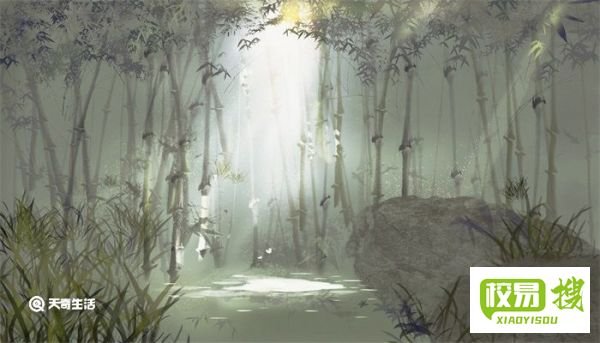 中国墨隐是什么