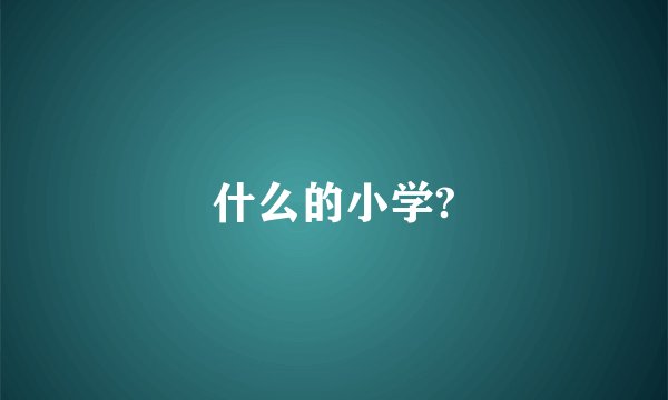 什么的小学?