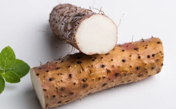 糯米山药产地在哪儿